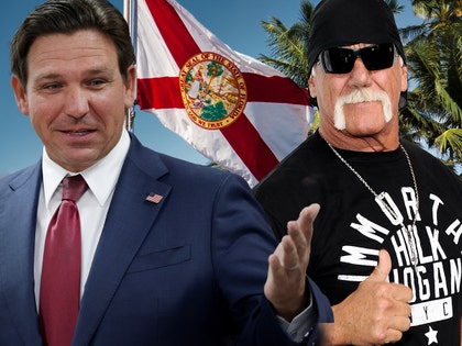 ron desantis hulk hogan day in florida getty comp