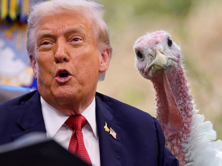 donald trump turkey getty comp