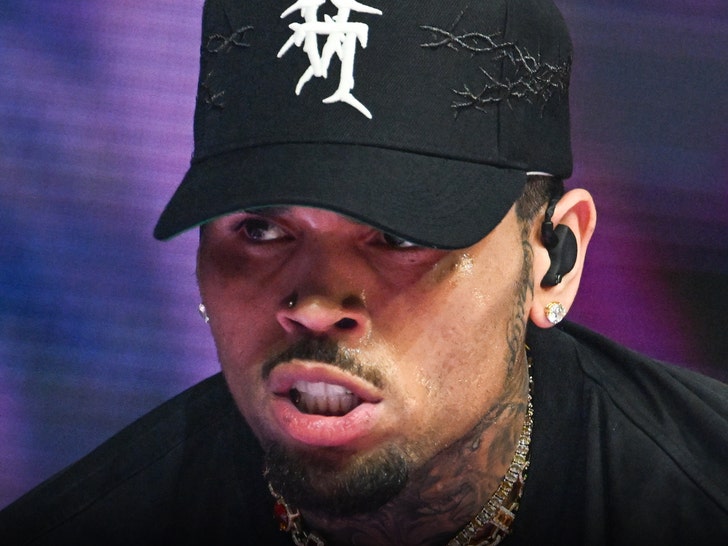 Trespass Suspect Returns to Chris Brown's House, Arrested Again, Police Say