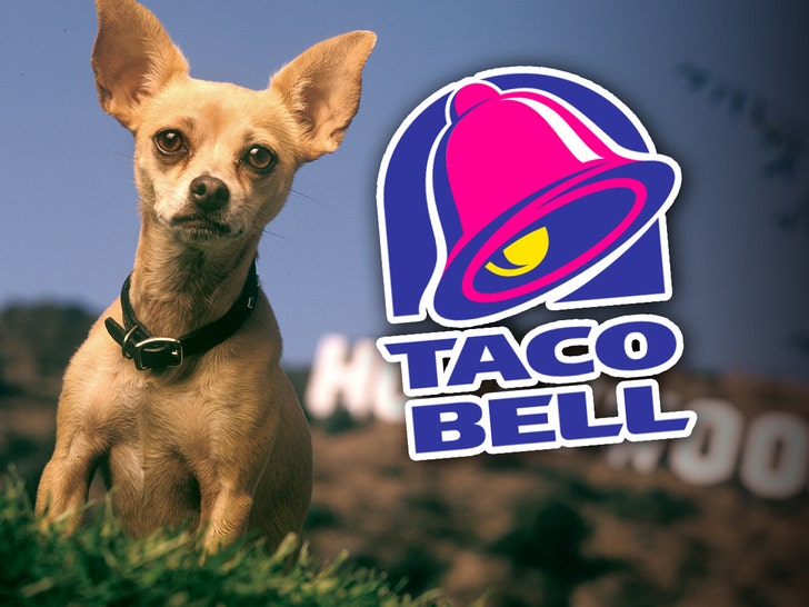taco bell chihuahua getty 1
