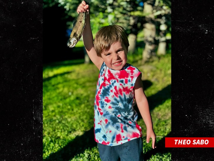 Theo Sabo gofundme 2