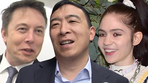 Andrew Yang Congratulates Elon Musk and Grimes on 'Pregnancy'