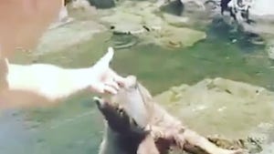 Dallas Cowboys' Leighton Vander Esch Feeds Wild Bear On Fishing Trip