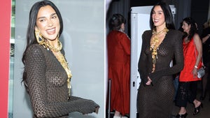 Dua Lipa Wearing A Sheer Dress At The Chaplin Award Gala