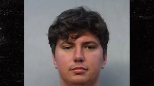 Vladimir Demidovich mug shot Miami-Dade County