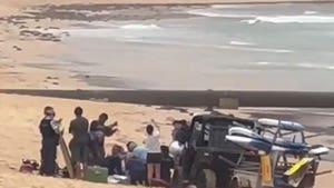 011926_sydney_shark_attack_primary_v2
