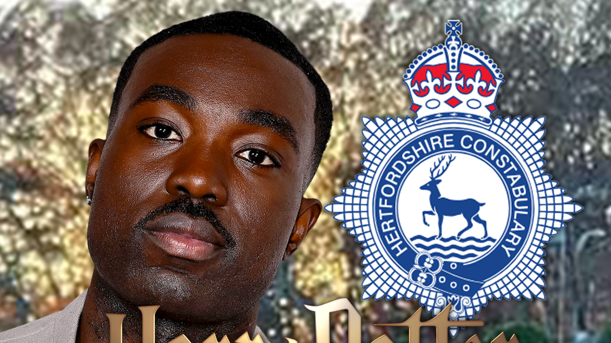 ‘Harry Potter’ Series Racist Death Threats Get UK Police Attention ‘Harry Potter’ Series Racist Death Threats Get UK Police Attention