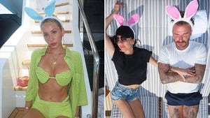 0405-Easter-Celebunnies-hero