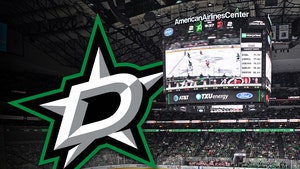 dallas stars nhl game getty 1
