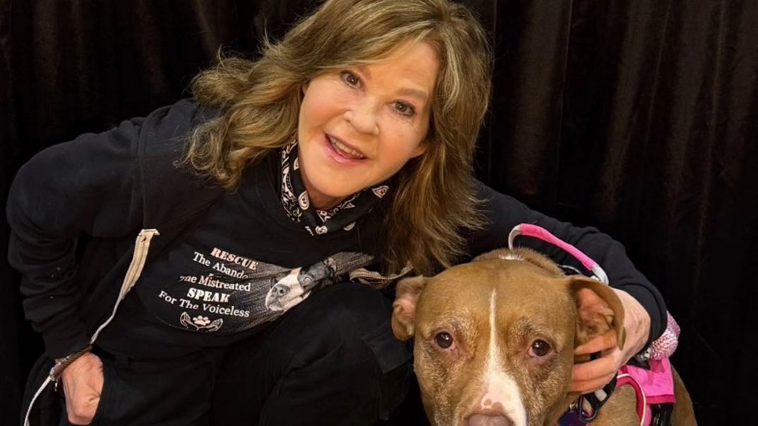 0731-Linda-Blair-With-Dogs-PRIMARY