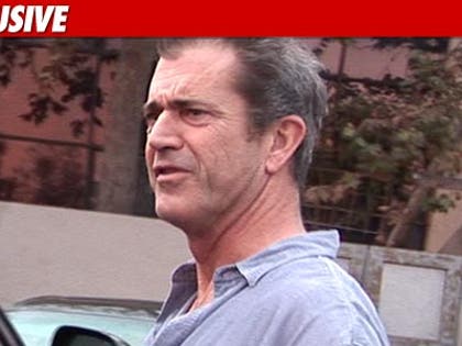 0126_mel_gibson_tmz_ex