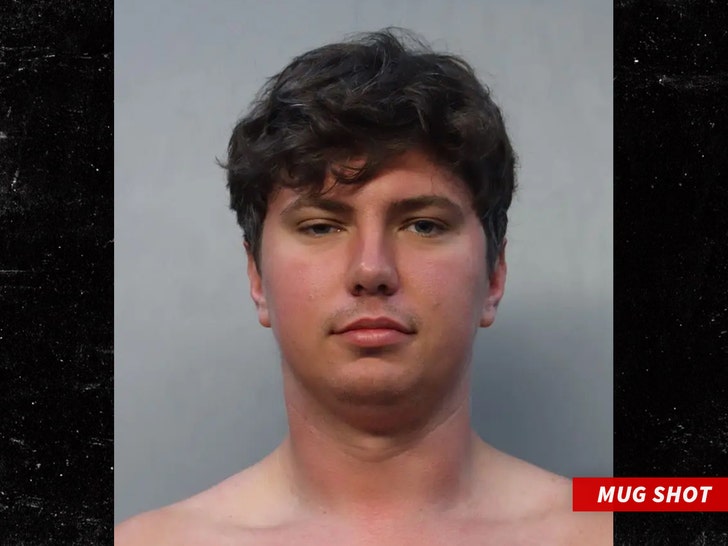 Vladimir Demidovich mug shot Miami-Dade County