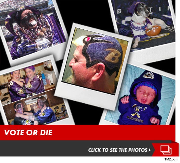 TMZ's 49ers vs. Ravens Fan Photo Contest