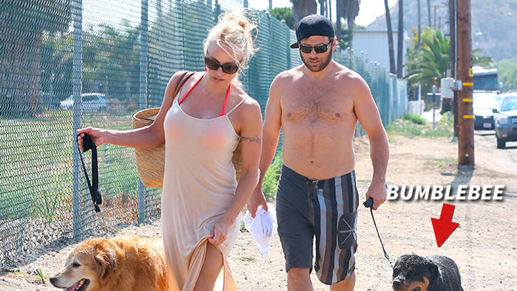 Pam Anderson to Rick Salomon -- Get Your Daughters and Dog O