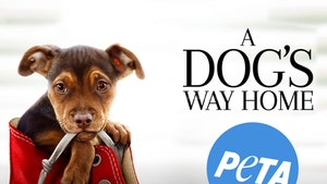Owners of 'A Dog's Way Home' Star Sue PETA for Defamation