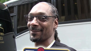 Snoop Dogg Buys Ownership Stake in BIG3 Team