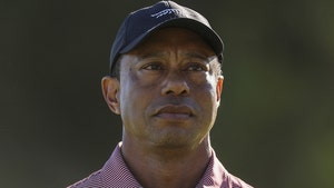 tiger woods shutter