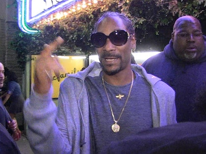 041117_snoop_primary