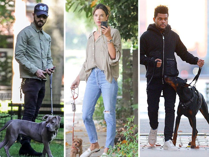 Stars Walking Their Dogs