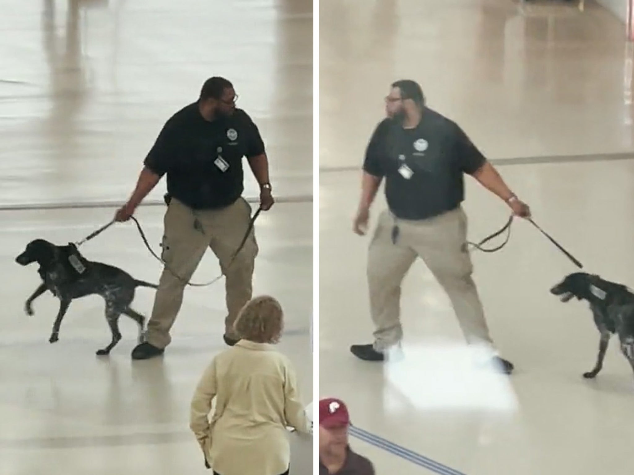 TSA calls video of worker aggressively handling dog 'unacceptable'