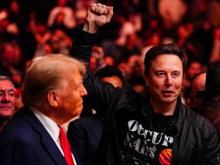 donald trump elon musk