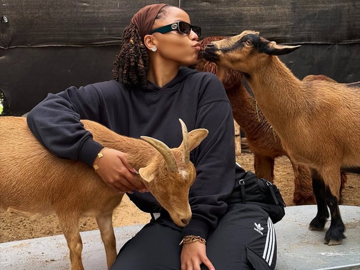 Halle And Chloe Bailey Hanging Out With Animals!