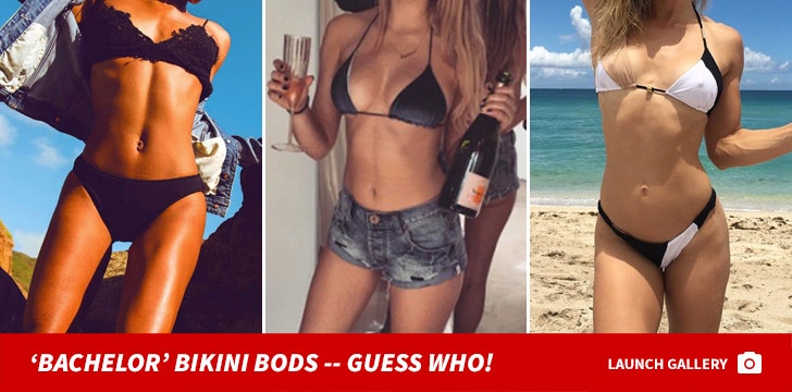 'Bachelor' Bikini Bods -- Guess Who!