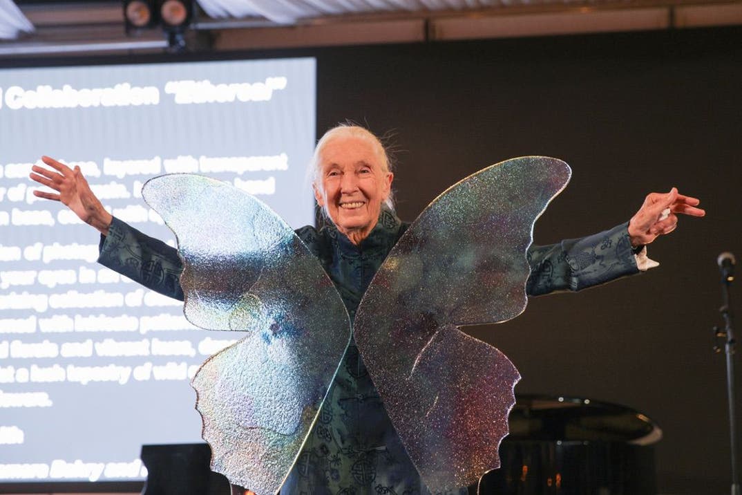 Remembering Jane Goodall 7