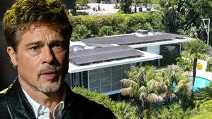 Brad Pitt burglars arrested