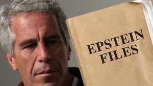 jeffrey epstein epstein files getty comp