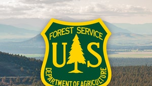 main-Shasta-Trinity-National-Forest-getty-1