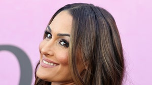 main-nikki-bella-getty-1