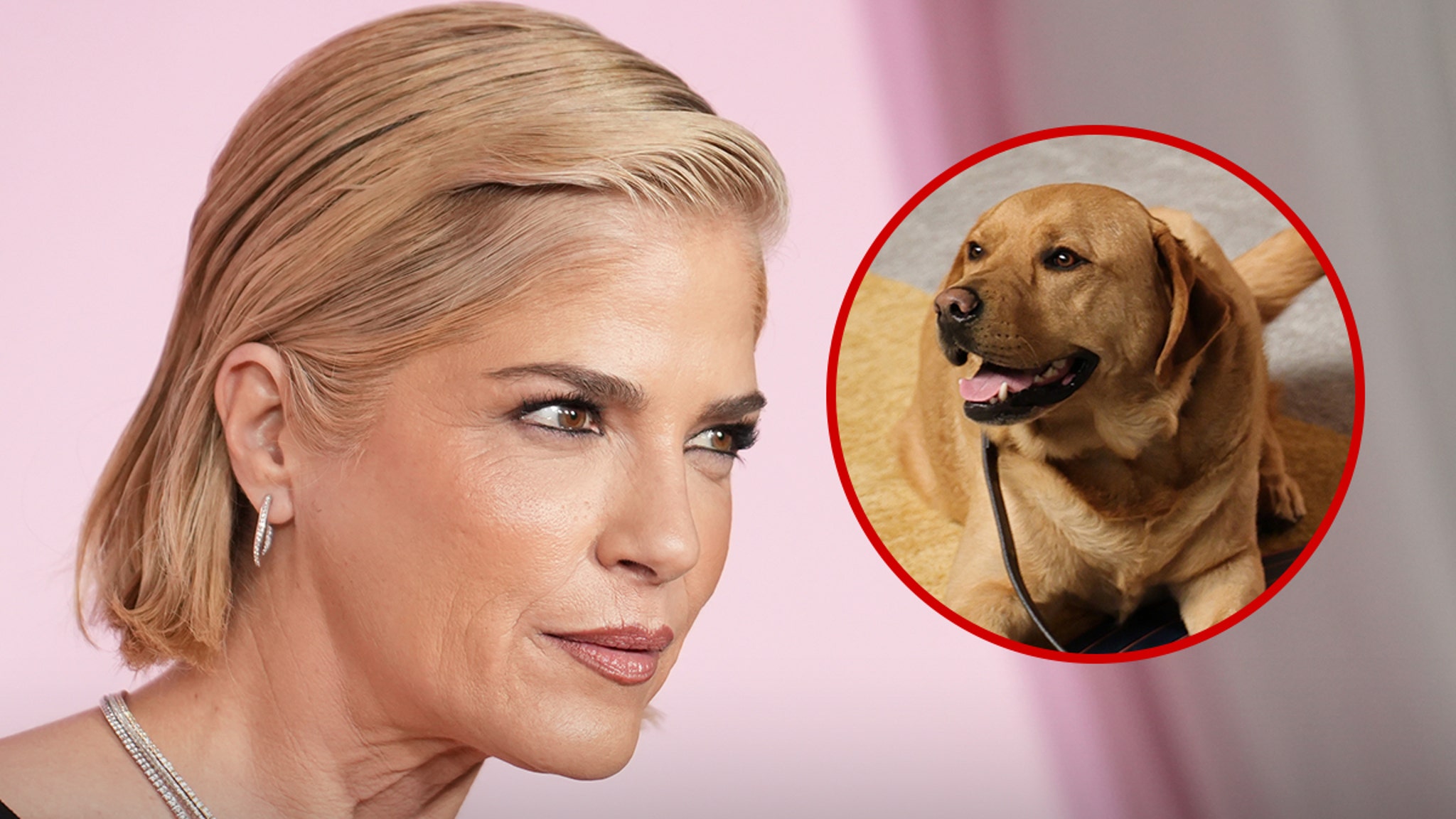 Selma Blair's Service Dog Safe After Her Airplane Meltdown