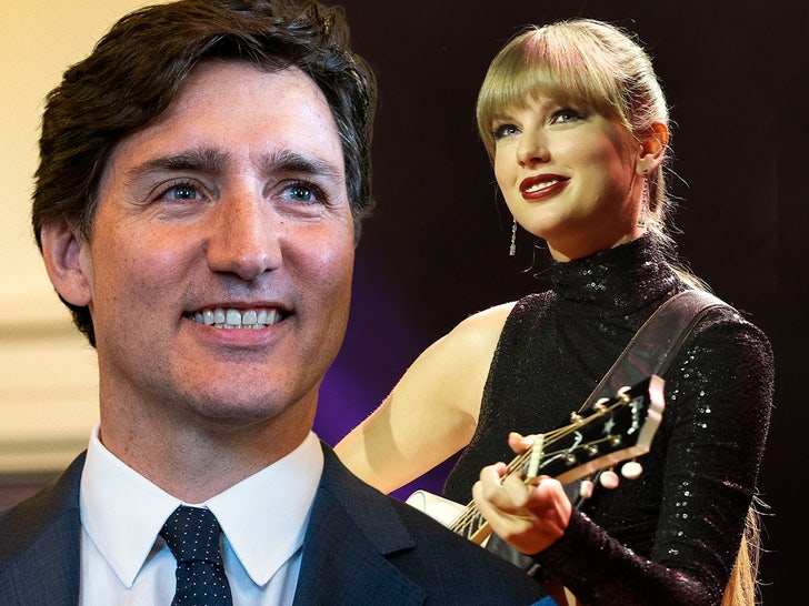 Canadian Prime Minister Justin Trudeau Busts Some Moves at Taylor Swift’s Concert