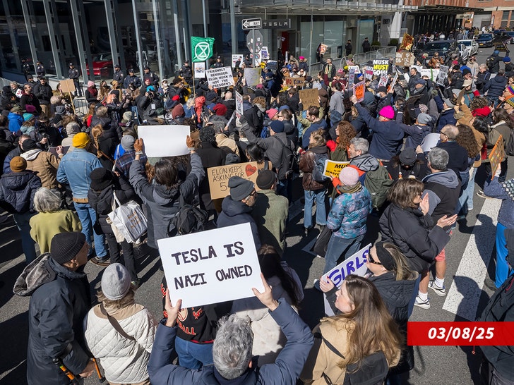 tesla protest