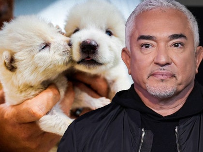 cesar millan dire wolves shutter Colossal Biosciences