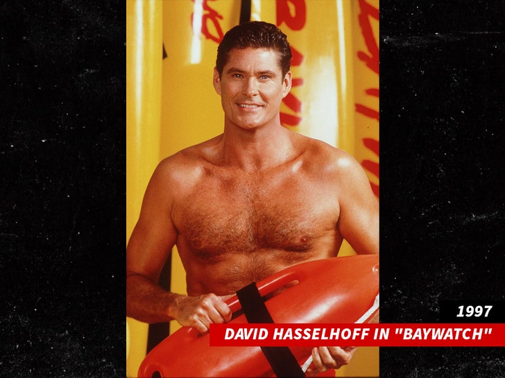 david Hasselhoff getty 2