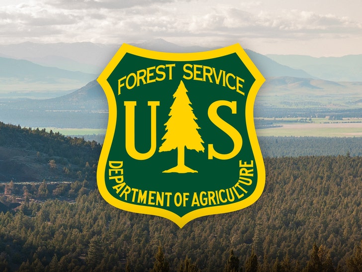 main-Shasta-Trinity-National-Forest-getty-1
