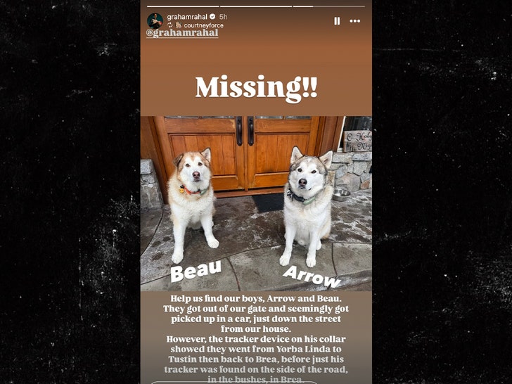 courtney force and graham rahal dogs insta 1