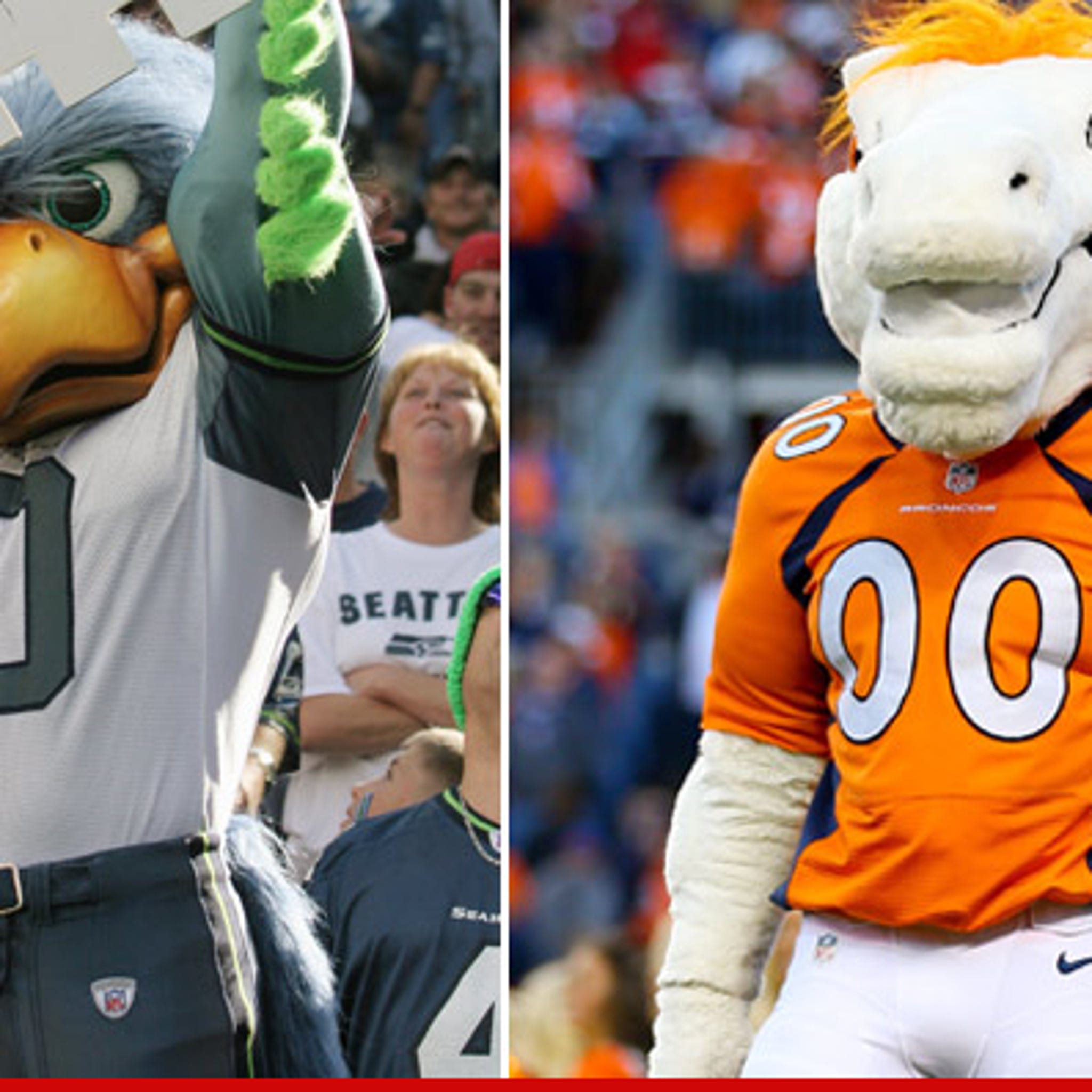 Super Bowl 2014 Video: Denver Broncos mascot Miles and Seattle Seahawks  mascot Blitz star in new ESPN commercial - Mile High Report