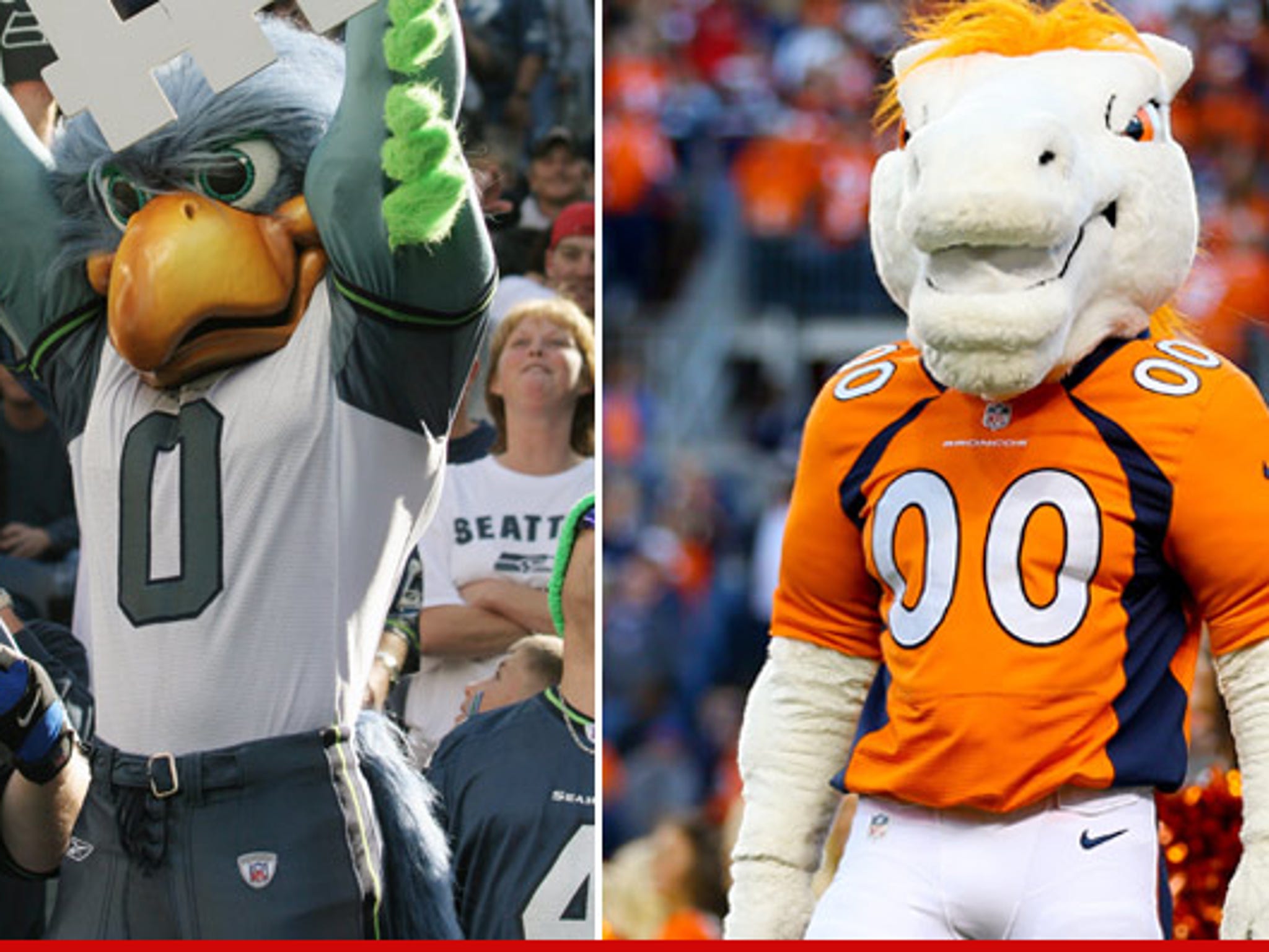 Super Bowl 2014 Video: Denver Broncos mascot Miles and Seattle