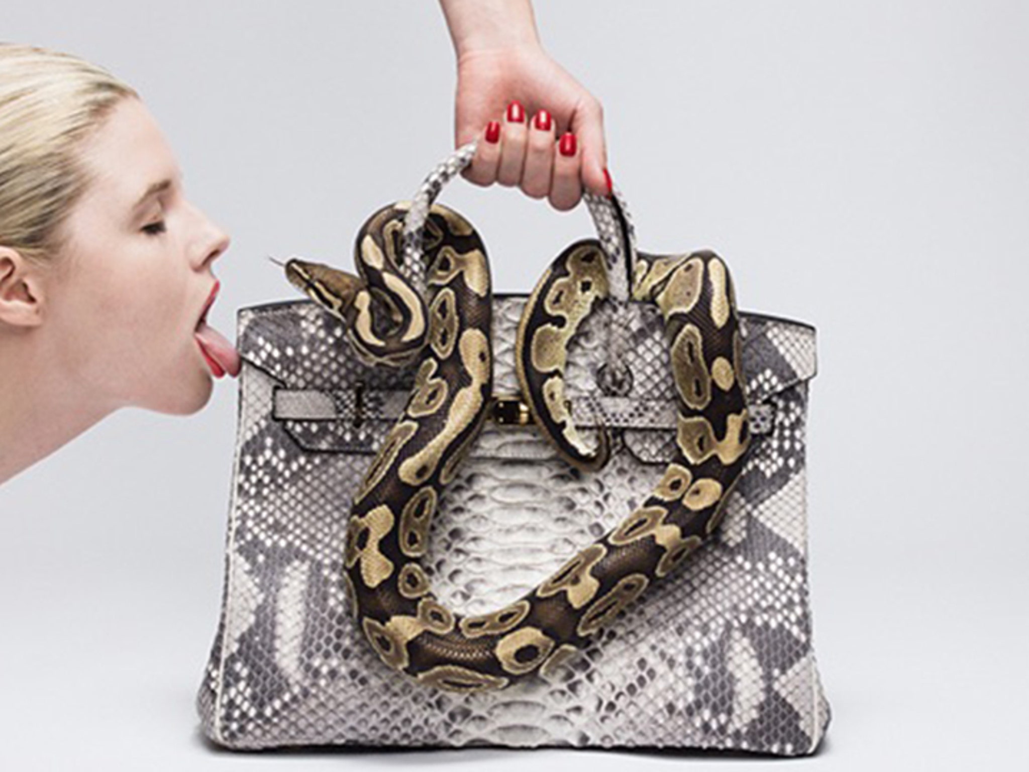 Genuine Python snakeskin punching bag fine art UFC hermes birkin