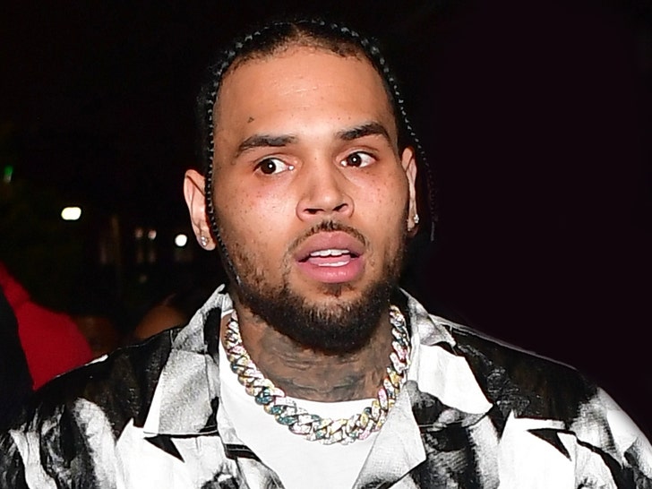 Chris Brown's People Say L.A. Officials Harassed Him Over Yard Sale
