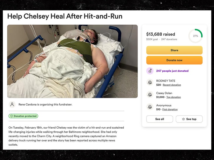 golpear y ejecutar Chelsey Go Fund Me Page Sub