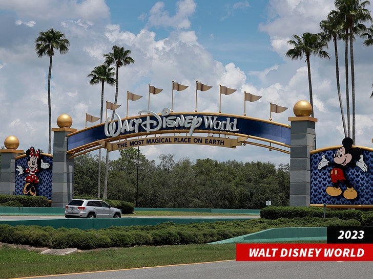 Walt Disney World Florida sub getty swipe