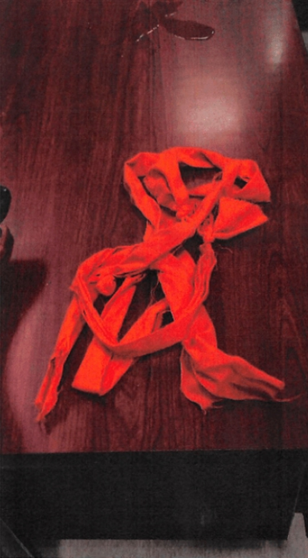 Jeffrey Epstein Lying Down Noose 7