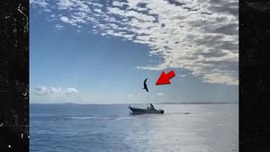 Wild Jumping Shark Almost Lands in Boat in Australia