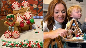 Celebrity Gingerbread Houses