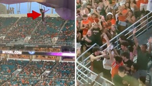 Cat Falls From Stands at College Football Game and Saved By American Flag