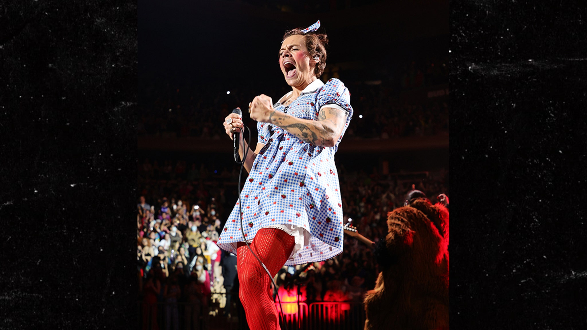 HARRY　AT THE GARDEN 5f148cac3dd543409db18344a0fb3a